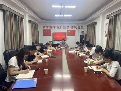 衡龙桥镇政务公开会议