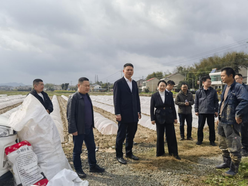 �����µ���ˮ�������ָ��������������