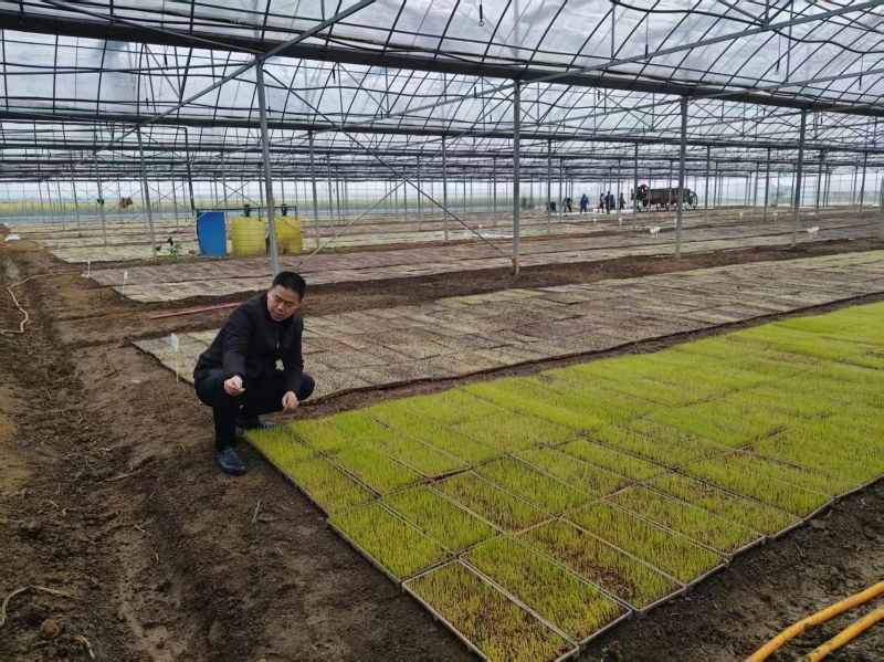 ��ɽ��:���֧������ܻ� �Ƽ������絾����