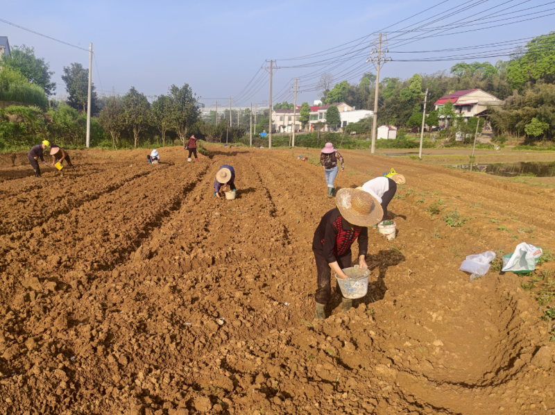 Ȫ��������ץũʱ������ �̻�ش�����